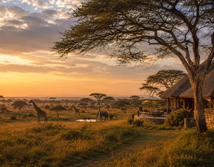 Afrika