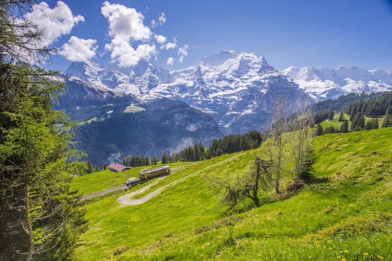A mountain train winding through alpine meadows beneath the snow-capped Bernese Alps in Switzerland
